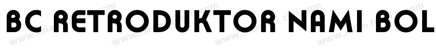 BC Retroduktor NAMI Bold Reversed字体转换